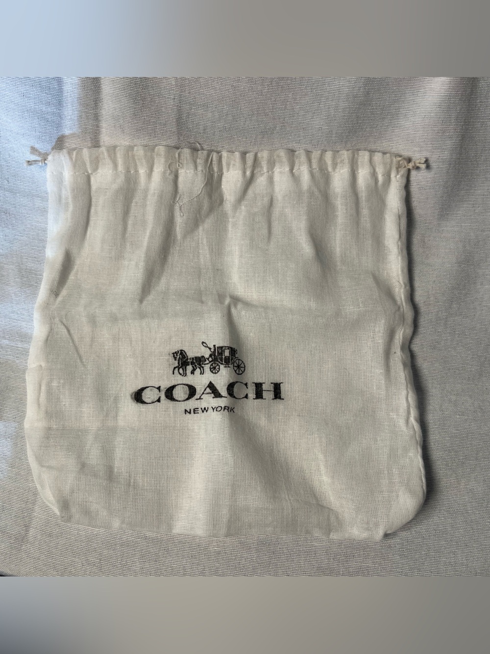 Coach Mini Dust Bag (6”x6”)